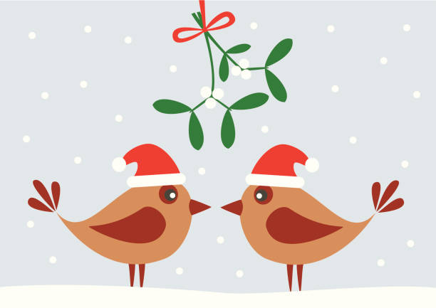 Illustration of two birds and a mistletoe Two cute birds with Santa hats under mistletoe. mistletoe stock illustrations