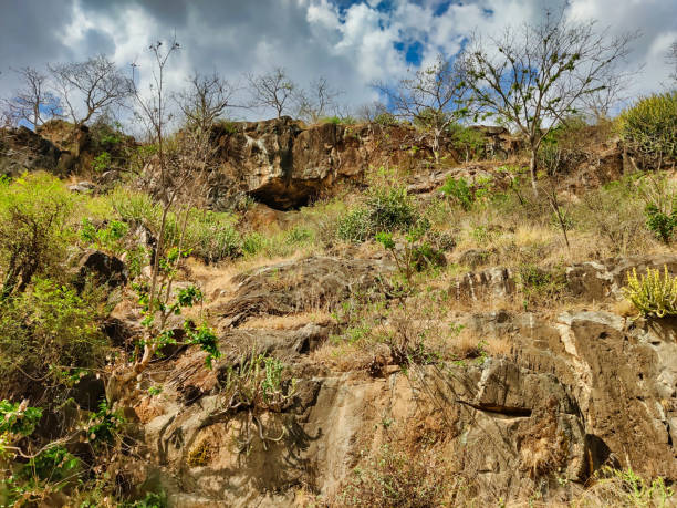 istock Landscape shot of hills and trees 1656751788