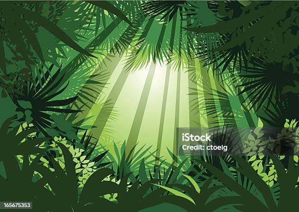 청록빛과 정글 양치식물에 대한 스톡 벡터 아트 및 기타 이미지 - 양치식물, 야자 나무 - Arecales, 잎