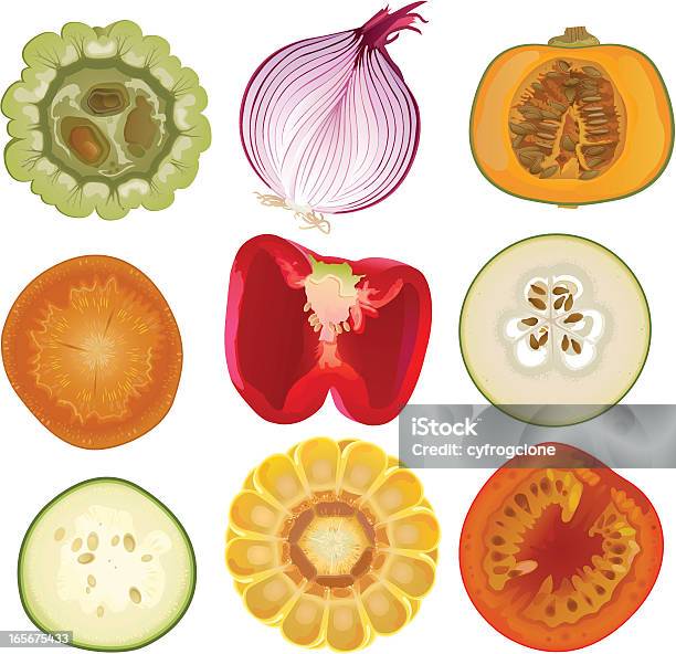 야채 속심 붉은 양파에 대한 스톡 벡터 아트 및 기타 이미지 - 붉은 양파, 단면도, 호박-조롱박과 식물