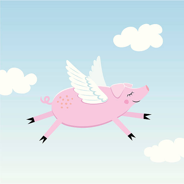 Flying pig vector art illustration
