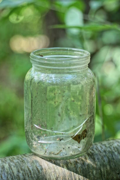 istock one empty old dirty glass jar with a crack stands on a gray wooden table 1656756567