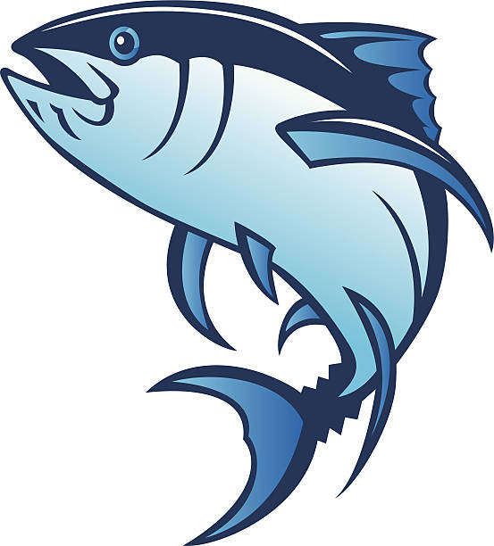 tuńczyk błękitnopłetwy - yellowfin tuna obrazy stock illustrations