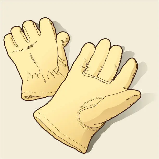 Vector illustration of Work Gloves