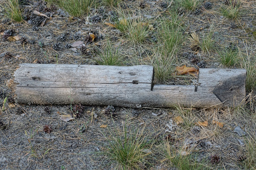 one old gray broken wooden pole lies on the ground and grass on the street