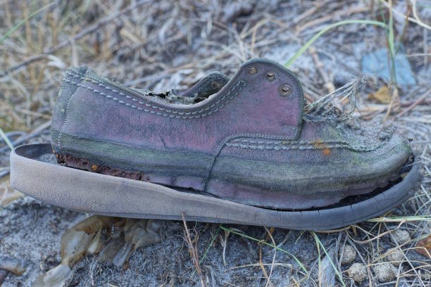 istock one brown old torn leather shoe lies on the gray sand 1656759249