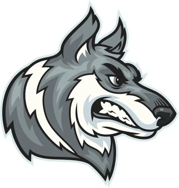 Vector illustration of Husky / Wolf