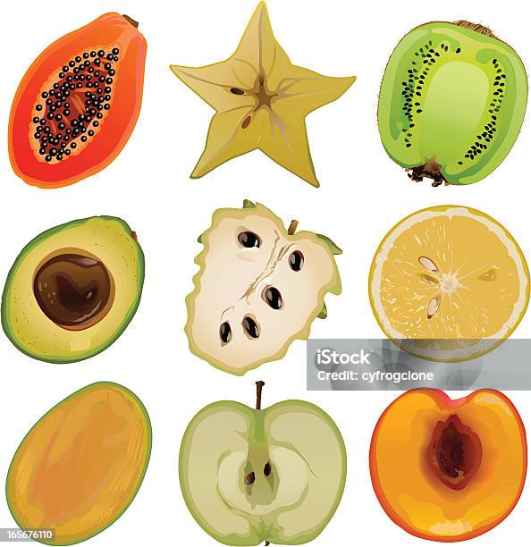 Frutos Core1 - Arte vetorial de stock e mais imagens de Damasco - Fruta - Damasco - Fruta, Jaca - Fruta, Alimentação Saudável