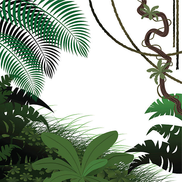 Jungle Leaves Vector illustration of a nice green Frame full of beautiful leaves of a jungle liana stock illustrations