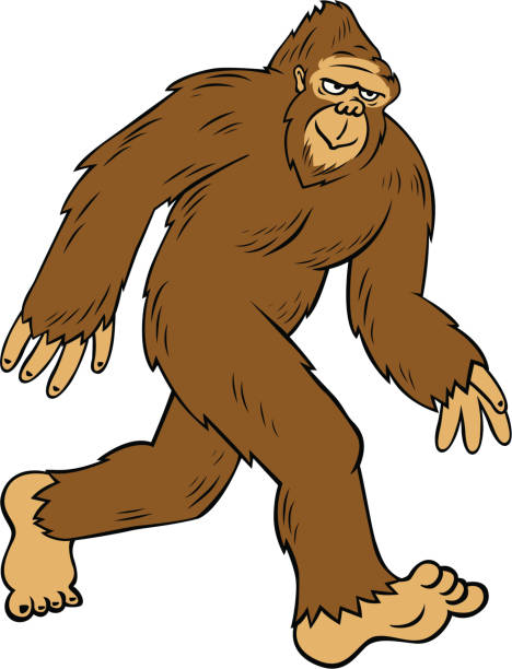 cartoon bigfoot cartoon style sasquatch yeti cartoons stock illustrations