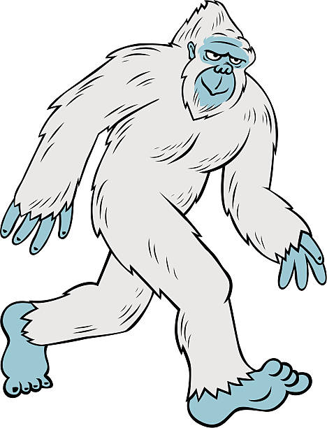 ilustrações de stock, clip art, desenhos animados e ícones de mulher yeti - yeti