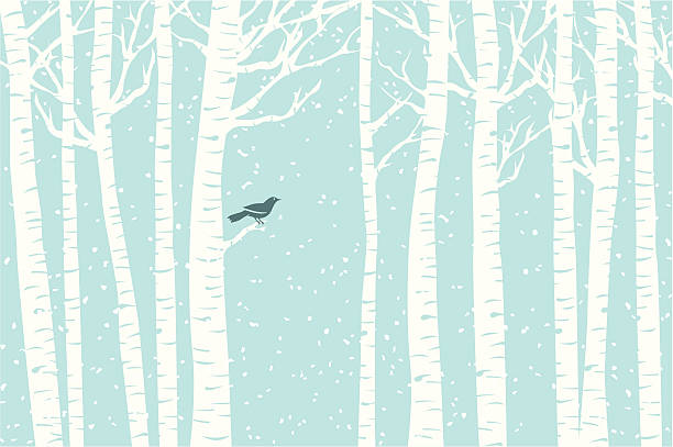 birch flußbarsch - snow winter forest tree stock-grafiken, -clipart, -cartoons und -symbole