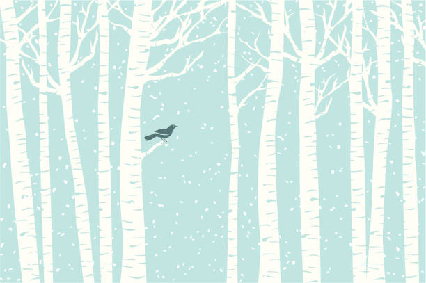 береза высоты - snow winter forest tree stock illustrations