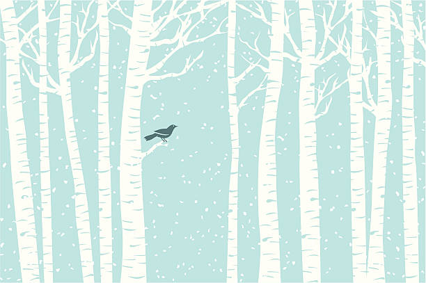 Birch Perch A bird perches among the birch trees while the snow softly falls. snowflake shape silhouettes stock illustrations
