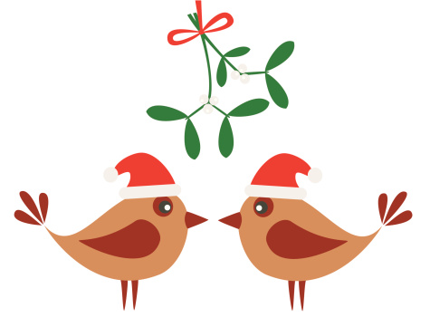Birds and mistletoe