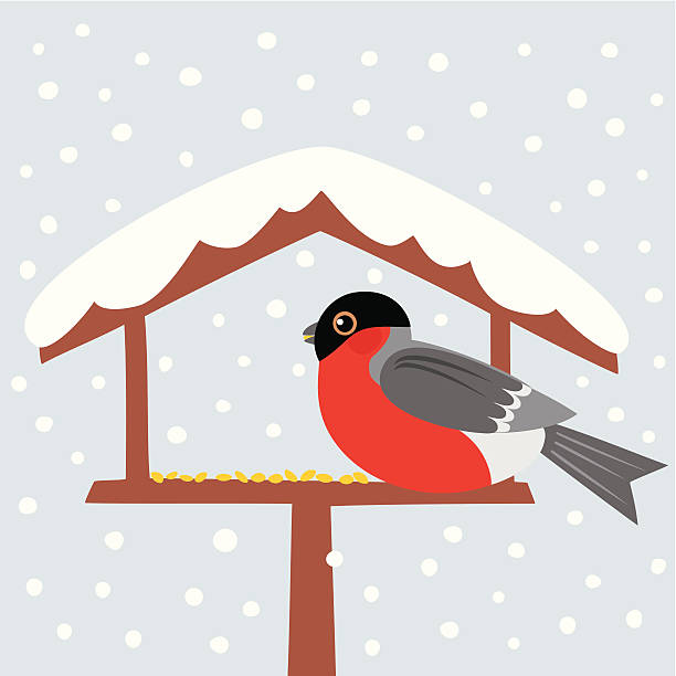 ilustrações, clipart, desenhos animados e ícones de bird mesa - bird feeder illustrations