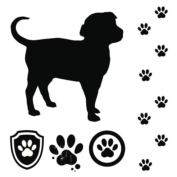 ilustrações de stock, clip art, desenhos animados e ícones de cachorrinho e faixas - paw print paw shield vector