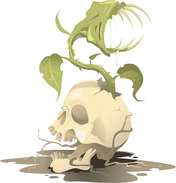 Vector illustration of Carnivorous plant and skull