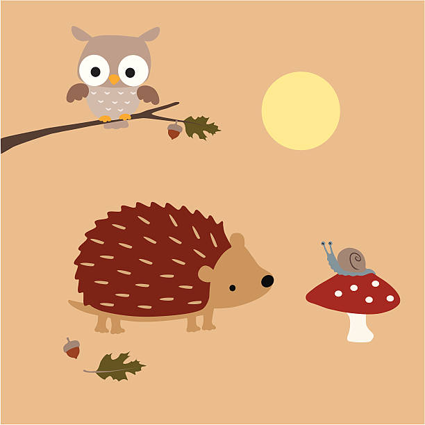 illustrations, cliparts, dessins animés et icônes de hérisson rencontre un escargot - hedgehog