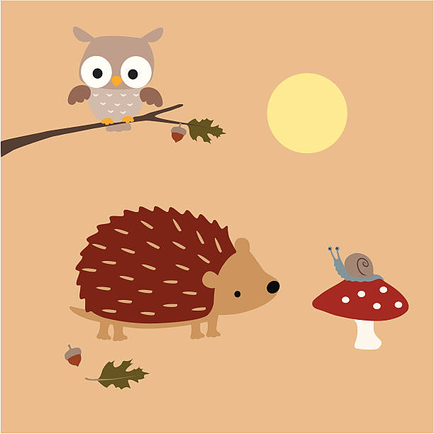 Hedgehog Meets A Snail Editable vector illustration of a hedgehog looking at a snail on a mushroom. There’s an owl on a branch overhead. hedgehog stock illustrations