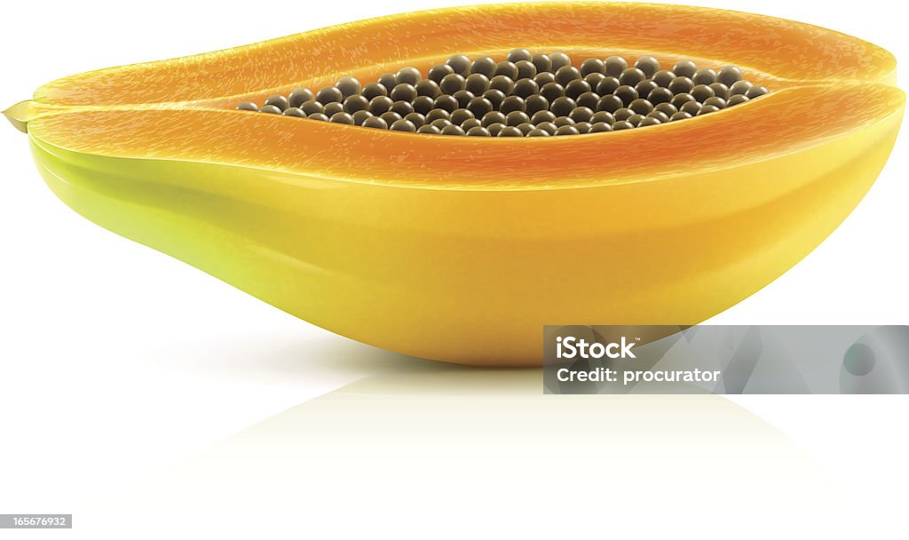 Papaya Vector illustration of ripe papaya. Papaya stock vector