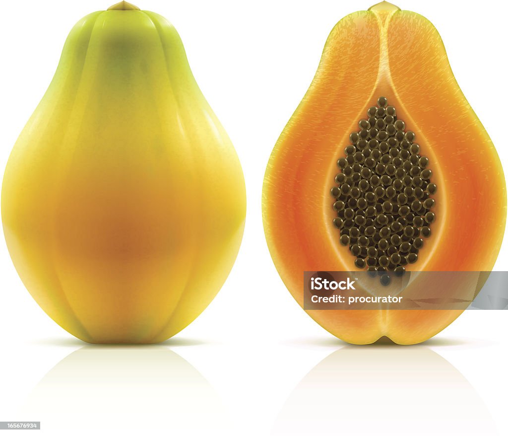 Papaya Vector illustration of ripe papaya. Papaya stock vector