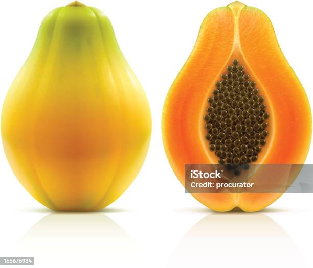 Papaya Stock Illustration - Download Image Now - Papaya, Vector, Clip Art