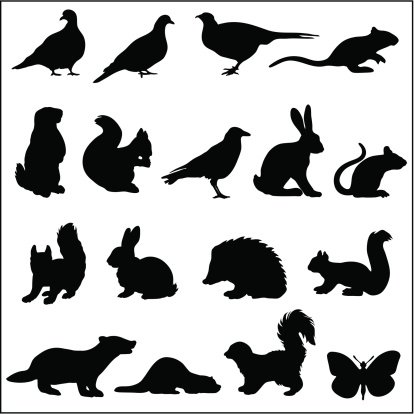 Woodland animals in silhouette