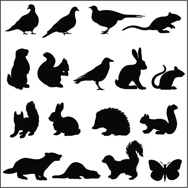 Vector illustration of Woodland animals in silhouette