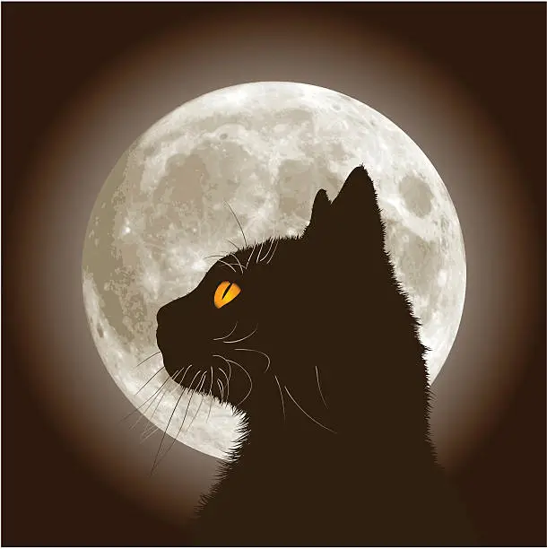 Vector illustration of Halloween Black Cat