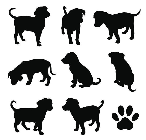 puppy puppy silohuettes and paw track puppy stock illustrations