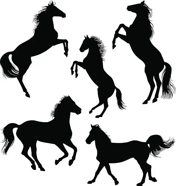 Vector illustration of Horses