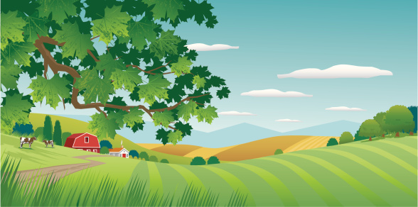 Summer Countryside scene with Maple tree in foreground. Road, fields, farm house and red barn, mountains, hills and cloudy sky in background. Art on layers and easily edited and scaled.