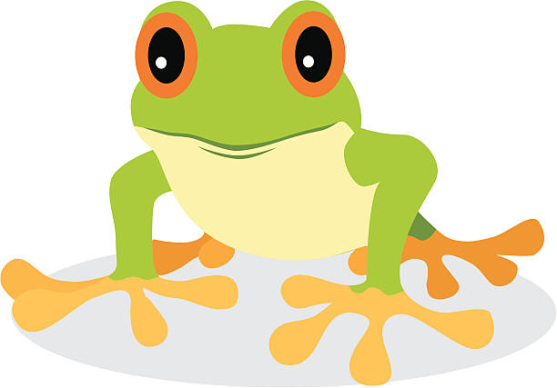 Tree Frog vector art illustration