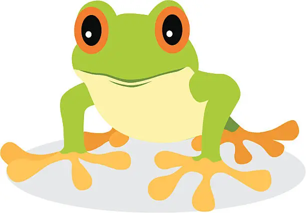 Vector illustration of Tree Frog
