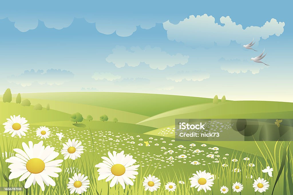 Illustration of a daisy flower field Illustration of Beautiful daisy flower background, all elements is individual objects. No transparencies, contains AI and jpeg, user can edit easily, all layers are separate, Please view my profile. Flower stock vector