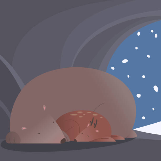 зимние мирный пейзаж с медведь и олень спать вместе - winter cave bear hibernation stock illustrations