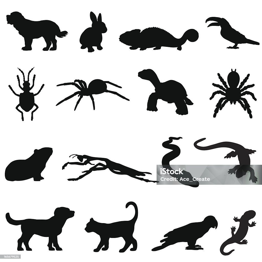 Haustier silhouette set - Lizenzfrei Kontur Vektorgrafik