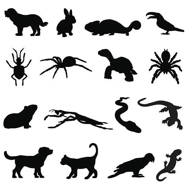 Vector illustration of Pet silhouette set