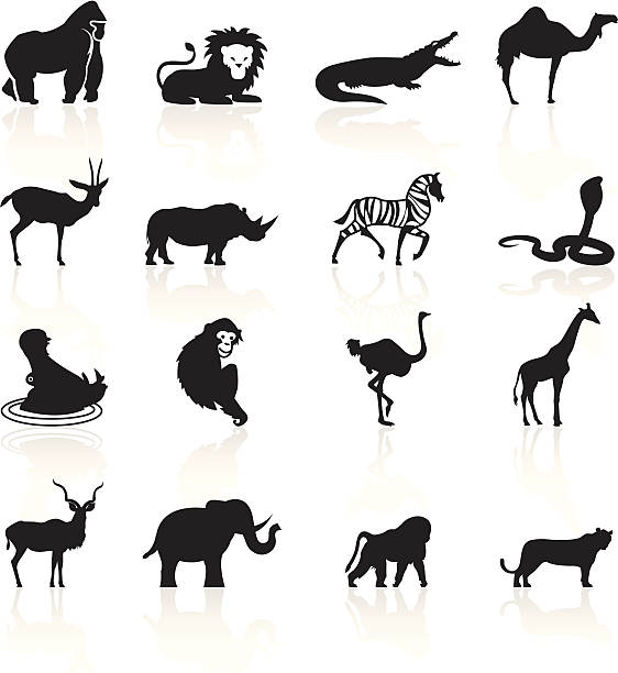 ilustraciones, imágenes clip art, dibujos animados e iconos de stock de símbolos de animales africano negro - herbivorous animals in the wild camel hoofed mammal