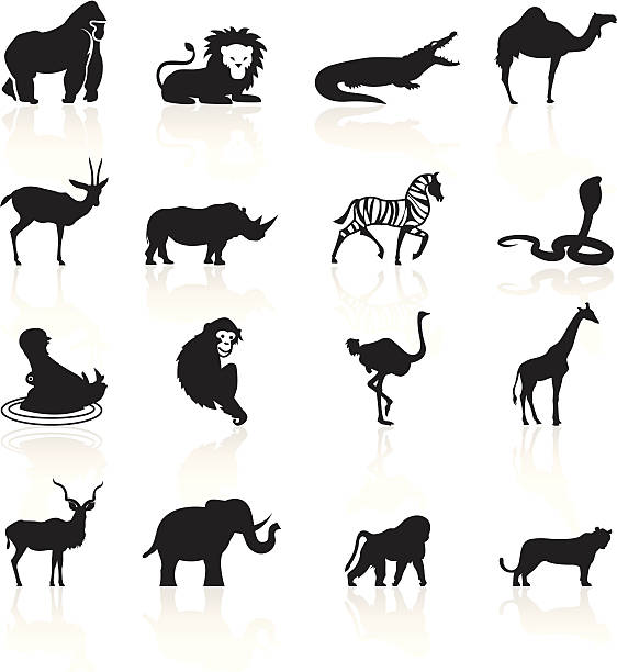ilustrações de stock, clip art, desenhos animados e ícones de preto símbolos de animais de áfrica - ostrich ape animal monkey