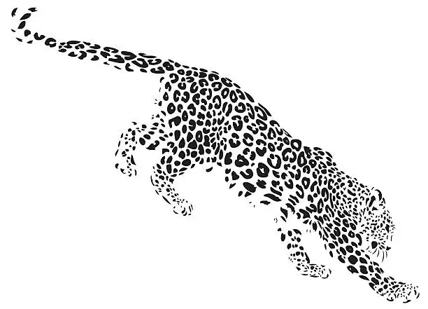 Vector illustration of Leopard desdending illustration