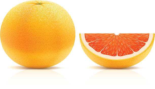 ジューシーなグレープフルーツ - citrus fruit portion grapefruit fruit点のイラスト素材／クリップアート素材／マンガ素材／アイコン素材