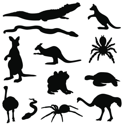 A collection of Australian animal silhouettes.