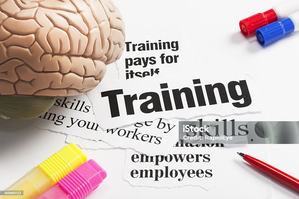 Model brain, pens on headlines concerning value of training employees A selection of pens and a model of the human brain rest on a pile of newspaper headlines concerning the value of training employees. Learning Stock Photo