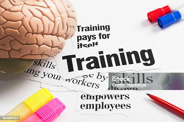 Model Brain Pens On Headlines Concerning Value Of Training Employees Stock Photo - Download Image Now