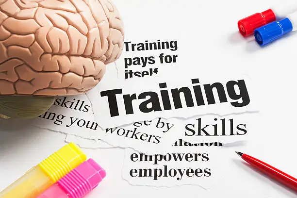 Photo of Model brain, pens on headlines concerning value of training employees