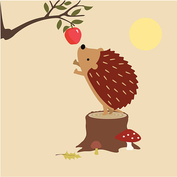 Hedgehog Finds An Apple Vector illustration of a Hedgehog standing on a tree stump and reaching for an apple. hedgehog stock illustrations