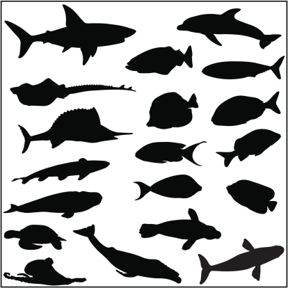 Fish and sea life silhouettes including angel fish, coral reef fish, sardine, shark, turtle, octopus, ray, sailfish, whale, seal and a dolphin.