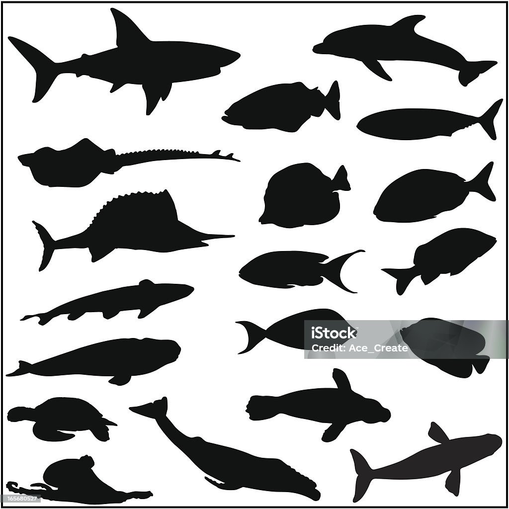 Collection of many fish and sea life silhouettes Fish and sea life silhouettes including angel fish, coral reef fish, sardine, shark, turtle, octopus, ray, sailfish, whale, seal and a dolphin. In Silhouette stock vector